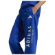 Adidas Παιδικό παντελόνι φόρμας All SZN Graphic Pants